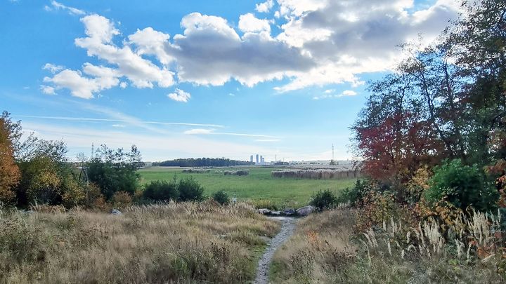Näkymä Vanhankaupunginlahden rantakosteikolta, jossa on polku heinikon keskellä, taustalla avaruutta ja muutamia pilviä taivaalla.