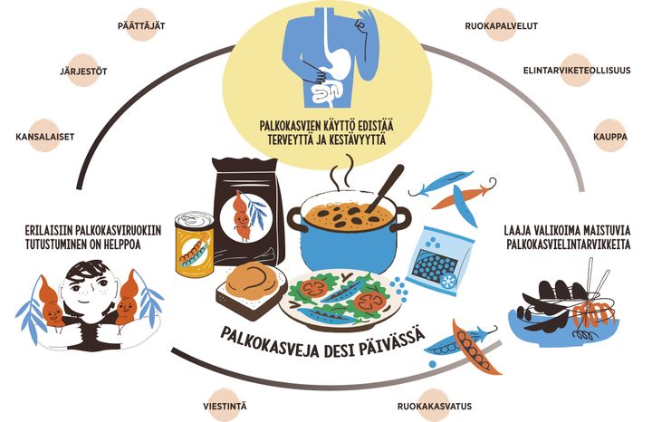 Terveellisten ja ympäristöystävällisten palkokasvien kotiutuminen lautasille edellyttää palkokasvielintarvikkeiden tarjonnan laajentamista ja tutuksi tekemistä kaikille.
