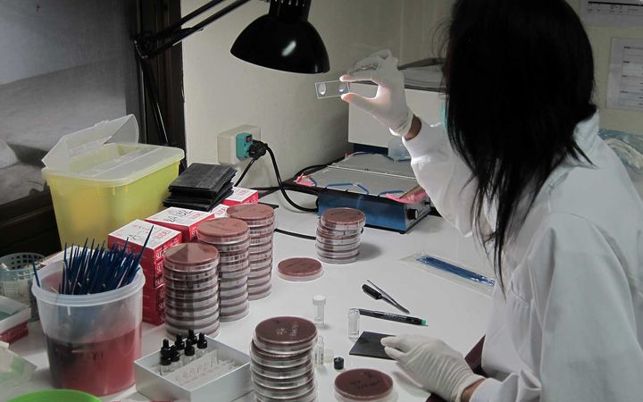 Tutkijat sekventoivat noin 4 500 eristettyä bakteeria Thaimaan luoteisosassa sijaitsevan Maelan pakolaisleirin lapsilta kerätyistä nenänielunäytteistä.