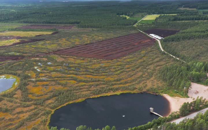 Ilmakuva metsä- ja suoalueesta, etualalla pieni järvi.