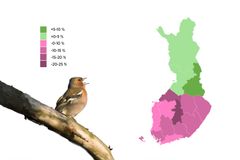 Kartta Suomen alueista, jotka on värikoodattu esittämään pesimälintujen kannanmuutoksia jaksojen 2006–2014 ja 2020–2025 välillä. Kartan vieressä on oksalla seisova peippo.