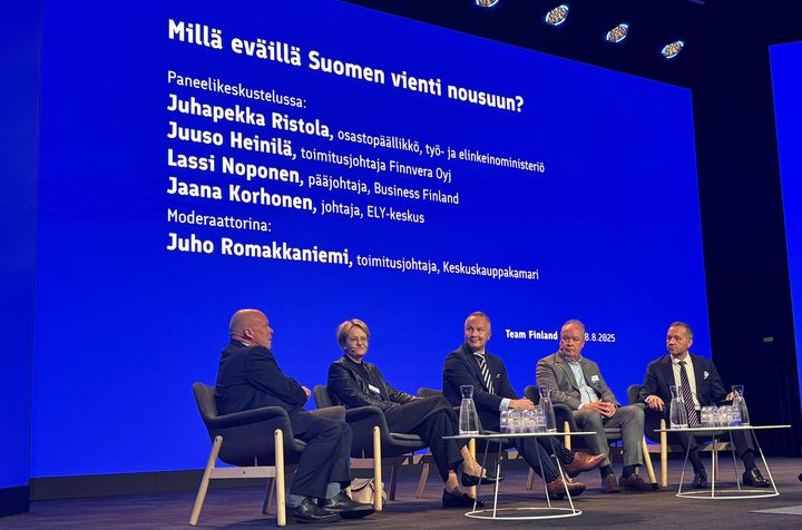 Team Finland -päivän 2025 paneelikeskustelu.