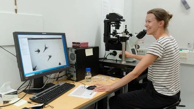 Ihminen istuu työpöydän ääressä ja katsoo hymyillen tietokoneen näyttöä.
