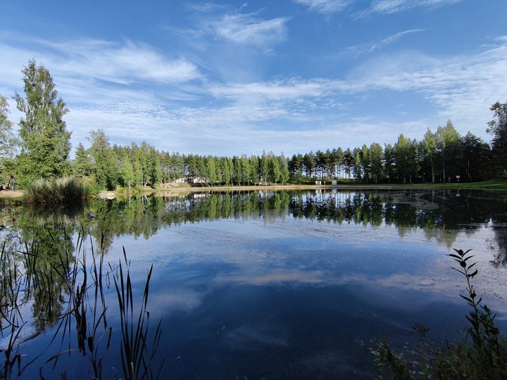 Järvimaisema jossa taivas heijastuu vedestä, reunoilla puita ja heinikköä.