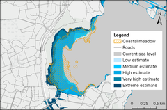 A map of Laajalahti, Espoo, showing the coastal meadow at risk of being submerged by 2100 due to sea level rise. Roads and urban infrastructure limit landward movement.
