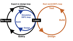 Kaavio, jossa on kaksi "DBTL" (Design-Build-Test-Learn) kehää. Vasemmalla simulaatiokehitys: "Re-learn", "Query", "Test", "Build", "Design". Oikealla reaalimaailman kehitys: "Learn", "Test", "Build", "Design".