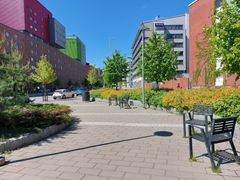 Kaupunkimaisema, jossa on leveä päällystetty jalkakäytävä, vieressä penkkejä, istutettuja pensaita ja puita. Taustalla kerrostaloja.