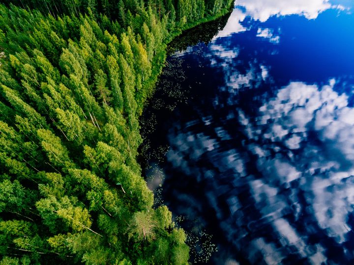 Metsäteollisuuden maine on säilynyt vahvana.
