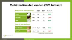 Metsäteollisuuden vuoden 2025 tuotanto
