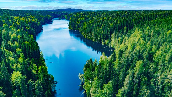 Järvi- ja metsämaisema