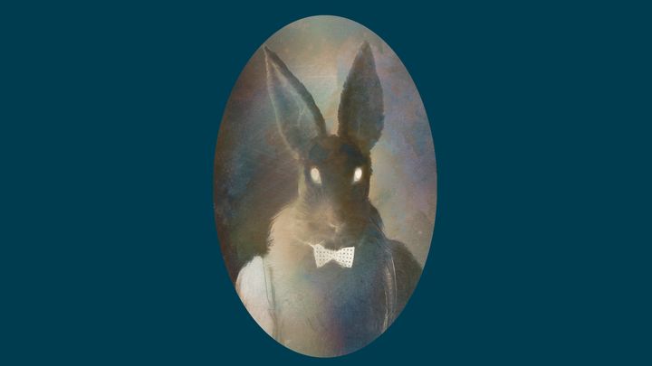 Image of a rabbit dressed elegantly with a bow tie.