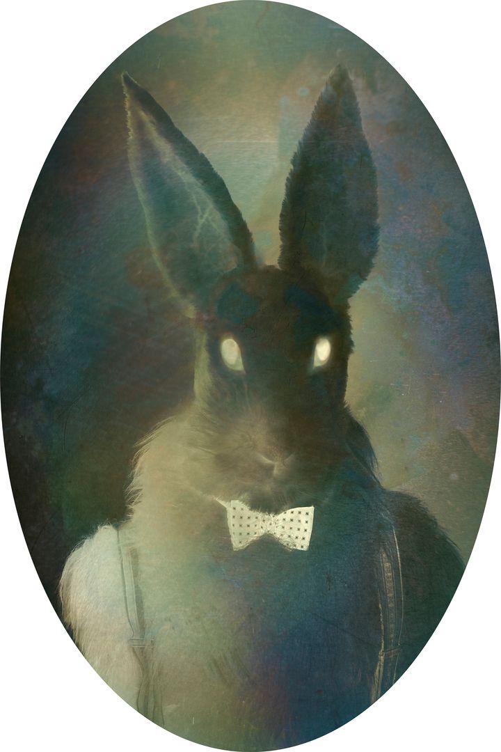 A rabbit with shining eyes.