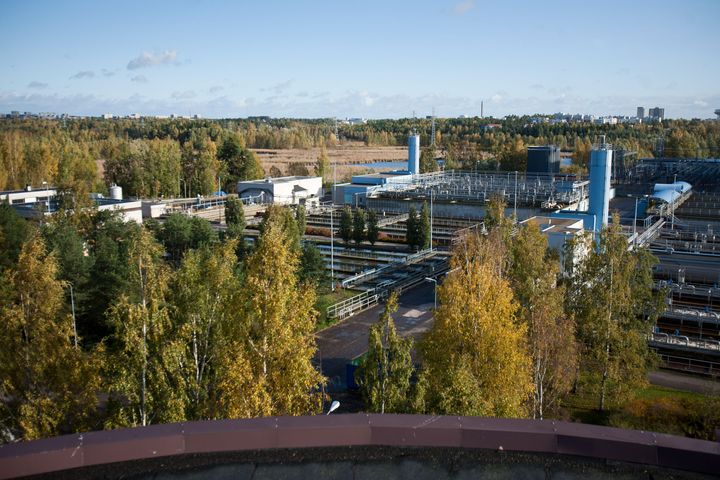 Yläviistosta kuvattu kuva, jossa etualalla on syksyisiä koivuja ja keskivaiheilla Suomenojan puhdistamo. Puhdistamosta näkyy ulkona olevat puhdistusaltaat, nelisen matalahkoa rakennusta ja kaksi tornimaista rakennusta. Taustalla on ns. lintuallas ja metsää.