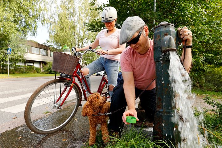 Eri kaupungeissa on ollut käytössä erilaisia vesipostimalleja. Helsingin vanhat vesipostit ovat veden vihreitä ja niiden kahva nostetaan ylös koko vedenoton ajaksi.