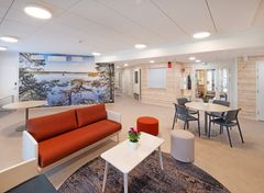Aidon puun luoma tunnelma on rauhallinen, äänimaisema pehmeä ja sisäilma raikas.