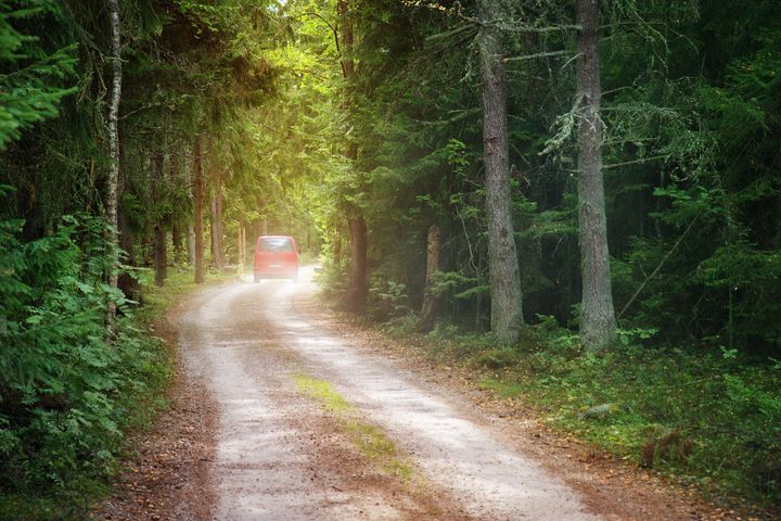 Auto ajaa metsätiellä