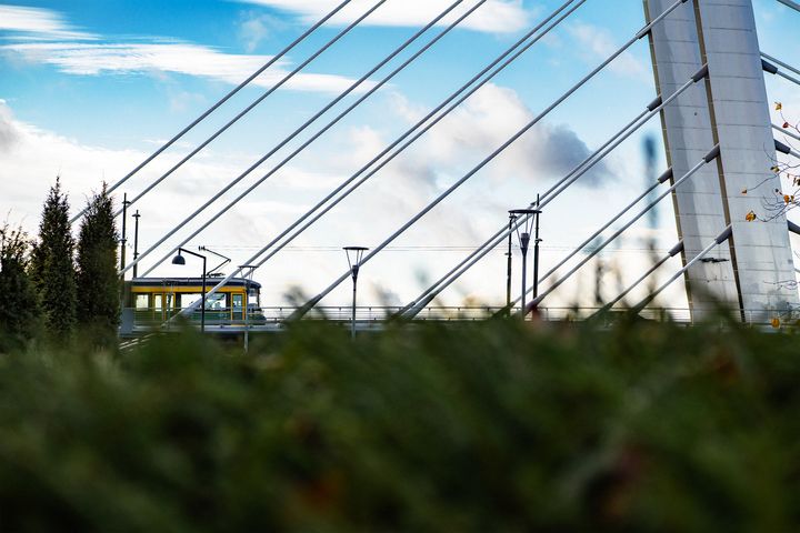 Raitiovaunu sillalla kaukaa kuvattuna, etualalla pensasta