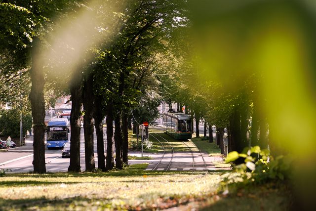 Busseja ja raitiovaunu Mäkelänkadulla