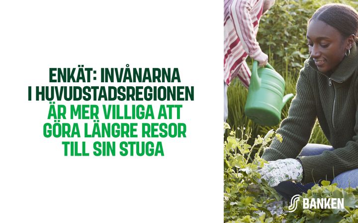 Kvinna vattnar växter i en trädgård. Text på bilden: "Enkät: Invånarna i huvudstadsregionen är mer villiga att göra längre resor till sin stuga."
