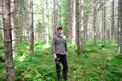 Lauri Haataja, Metsäkeskus.
