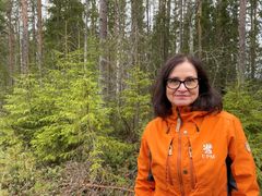 Suomen Metsätieteellisen Seuran Metsänhoitoklubin puheenjohtaja Heli Viiri.