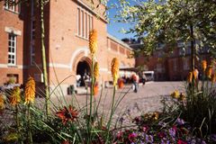 Hakaniemen kauppahalli