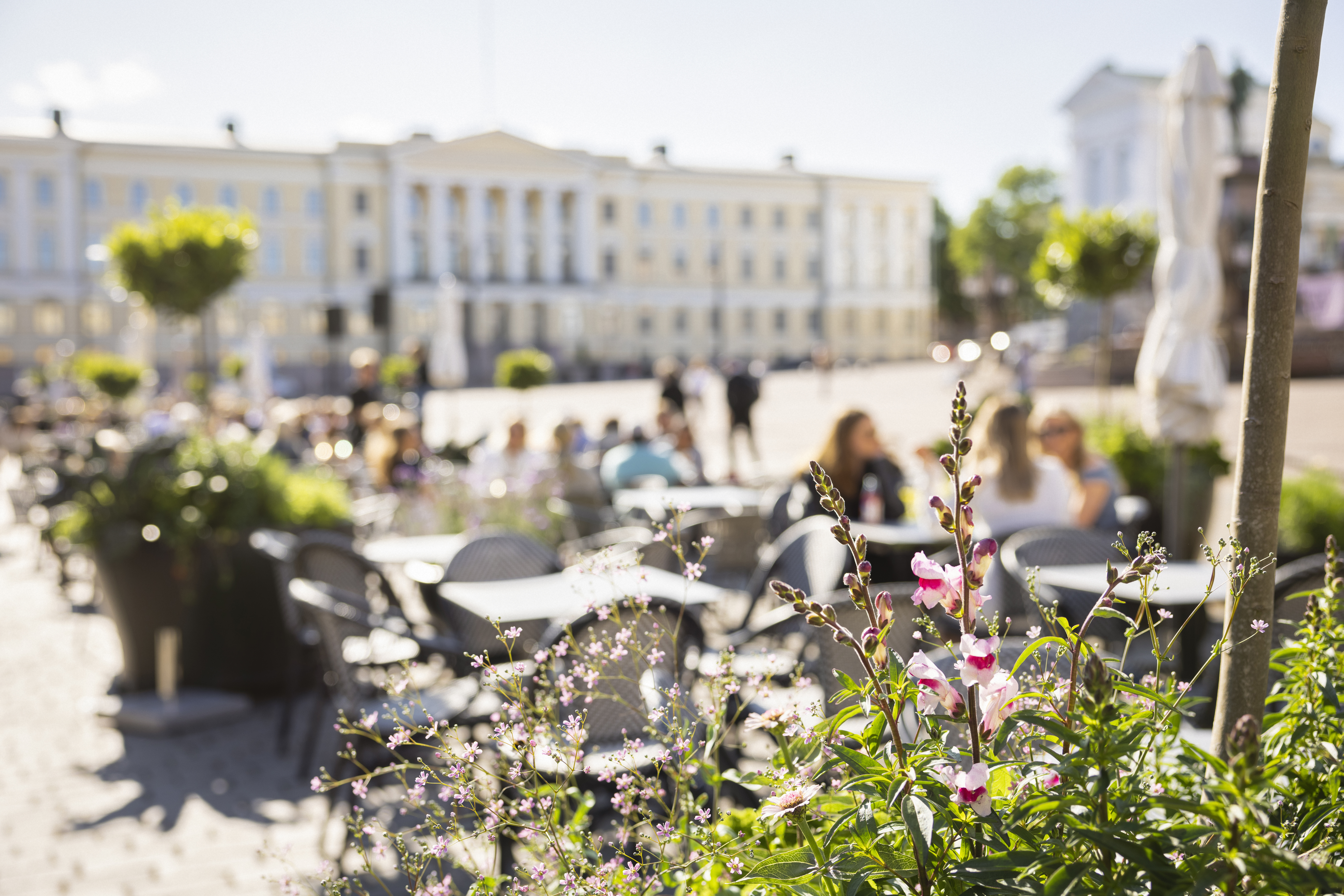 Helsingin Torikortteleiden kesäohjelma painottuu katutapahtumiin ja musiikkiin