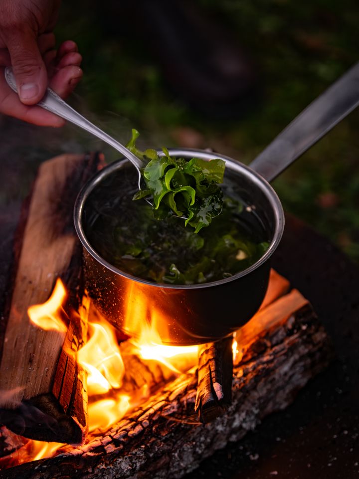 RE I SEA I D -tapahtumassa Itämeren ja pohjoismaisen luonnon ympärille rakennetaan oma gastronominen maailmansa.