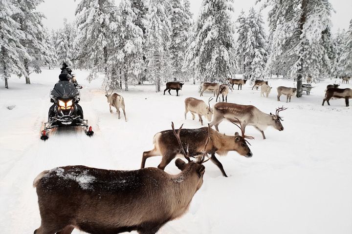 Matkailualan panostukset puuttuvat hallituksen budjettiriihestä. Kuva: Lapin materiaalipankki | Aurora Powertrains