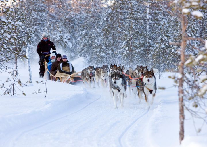 Lapin muusta maasta poikkeava suhdannetilanne näkyy osaajakyselyn tuloksissa. Kuva: Lapin materiaalipankki | Visit Rovaniemi