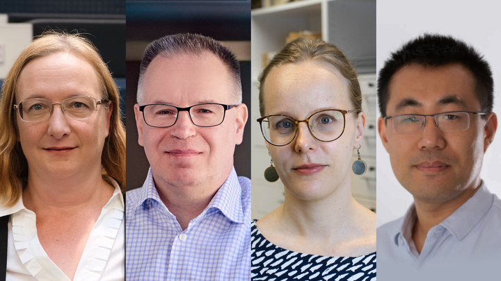 Professorit Satu Palva, Petri Ahokangas, Anna-Kaisa Salmi ja Shuai Li pitävät luennon tutkimusalastaan Linnanmaan kampuksella.
