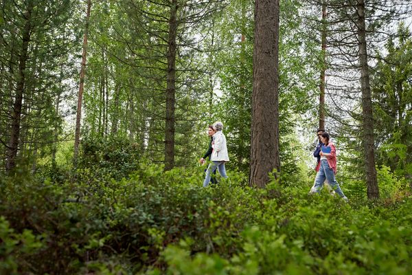 Ihmisiä kävelemässä metsässä