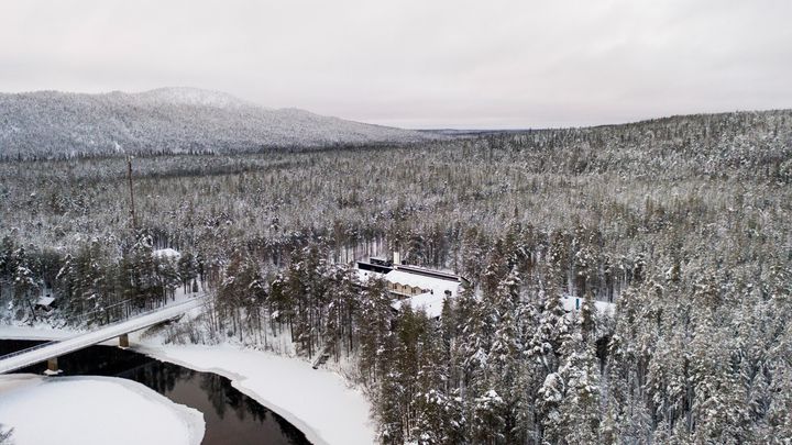 Talvinen metsämaisema