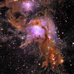 Kuva1: Messier 78 tähtienmuodostusalue 1300 valovuoden etäisyydellä. Kuvassa näkyy tomun ympäröimä tähtienmuodostusalue, jossa syntyy aktiivisesti uusia tähtiä ja planeettoja. Euclidin infrapunakamera näkee syvemmälle sumun sisään kuin näkyvän valon alueella on mahdollista nähdä, mikä on auttanut paljastamaan tästä kuvasta yli 300000 kohdetta. Osa havaituista kohteista on alle 10 % Auringon massaisia, fuusioon kykenemättömiä substellaarisia kohteita, joiden lukumäärän selvittäminen suhteessa tähtiin on tärkeä osa pimeän aineen määrän määrittämisessä. Kuva: ESA/Euclid/Euclid Consortium/NASA, image processing by J.-C. Cuillandre (CEA Paris-Saclay), G. Anselmi; CC BY-SA 3.0 IGO or ESA Standard Licence.