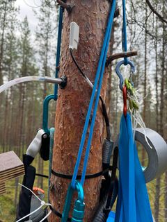 Puuhun on kiinnitetty sensorilaitteita, kuten virtausanturi ja veden isotooppianturi.