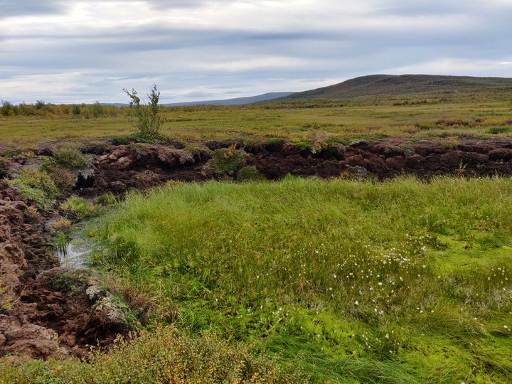 Sulanut palsa Kilpisjärven lähellä, Enontekiöllä. Esiintyy vihreää kasvillisuutta ja paljasta maata.