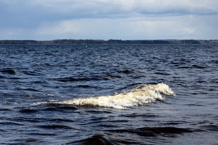 Aaltoja meren pinnalla pilvisenä päivänä.