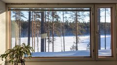 Näkymä ikkunasta talviselle maisemalle, jossa on luminen metsä. Etualalla ikkunan vieressä huonekasvi.
