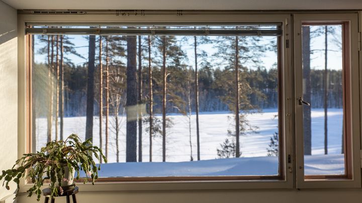 Näkymä ikkunasta talviselle maisemalle, jossa on luminen metsä. Etualalla ikkunan vieressä huonekasvi.
