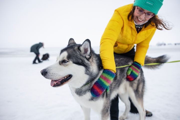 Nainen keltaisessa takissa hymyilee ja rapsuttaa suurta huskya lumisella alueella.