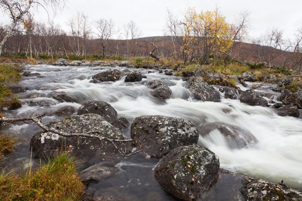 Kirkas puro virtaa kivien yli syksyisessä metsämaisemassa, taustalla ruskan sävyttämiä puita.