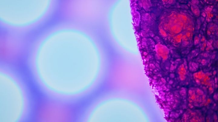 Kuva: Oulun yliopisto / Mikko Törmänen