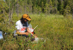 Nuori nainen kenttätyössä metsäisessä maastossa.