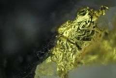 Kuva esittää kultaa vaaleassa kvartsissa.