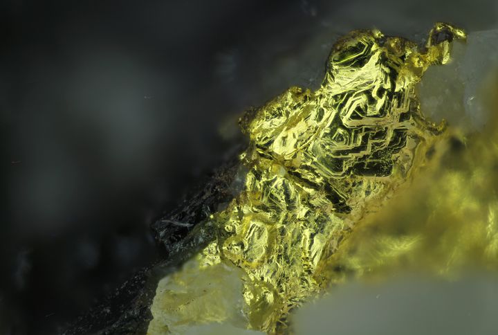 Kuva esittää kultaa vaaleassa kvartsissa.