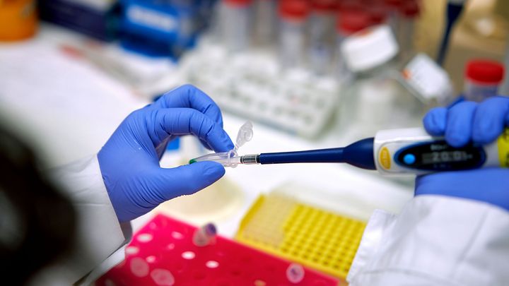 Kuva Oulun yliopisto / Mikko Törmänen