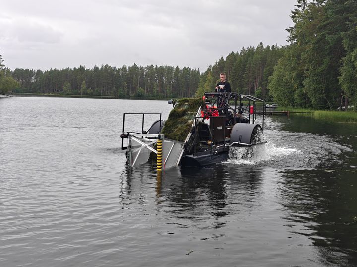 Tutkija ohjaa vesikasvien poistoon tarkoitettua konetta järvellä. Taustalla näkyy metsä.