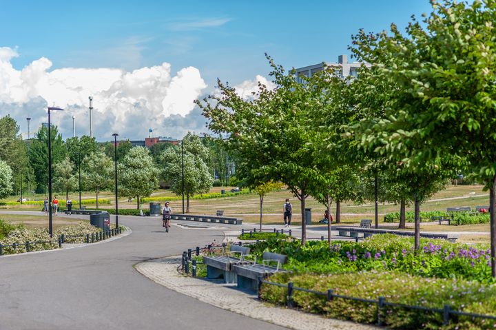 Planteringar i parken.