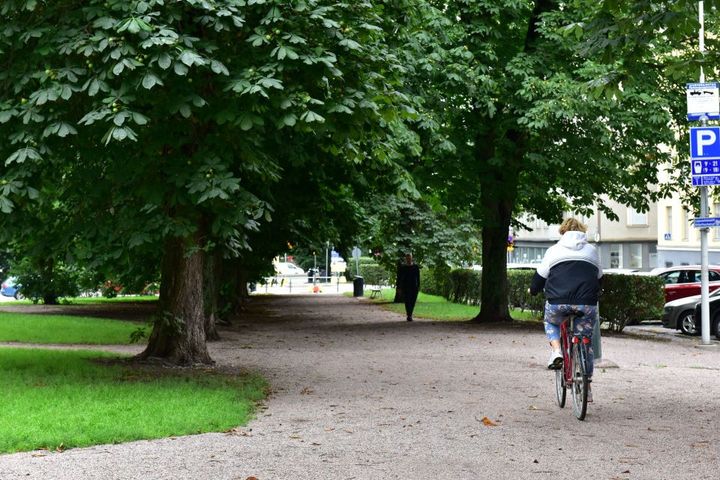 Pyöräilijä Hesperian esplanadin puistossa.