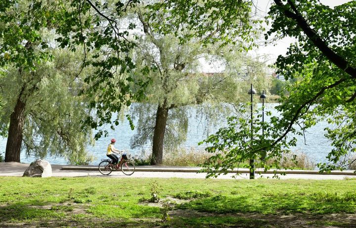 Henkilö pyöräilee rantaraitilla kesäisessä puistossa.